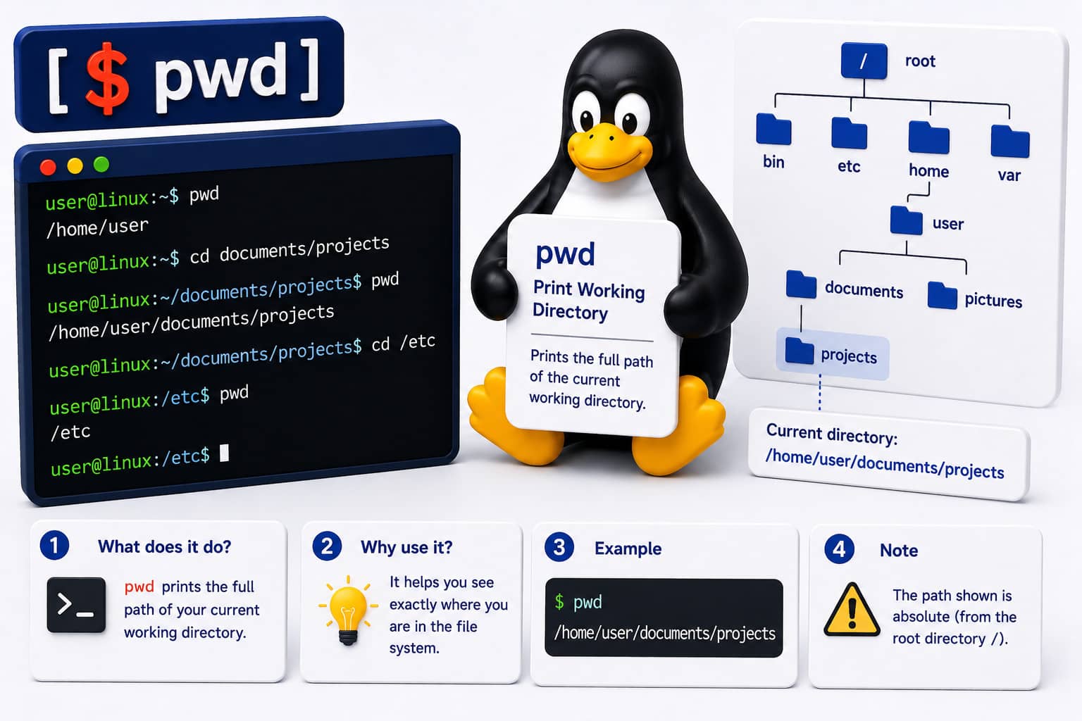 Linux commando: pwd