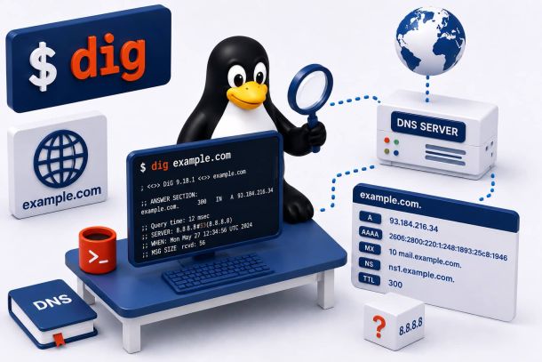 Linux commando: dig