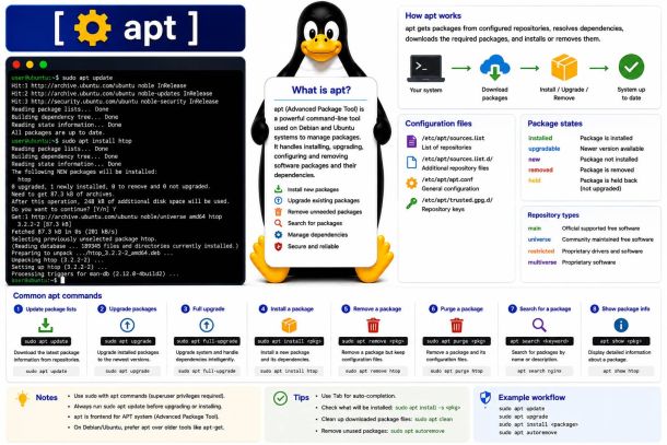 Linux command: apt